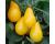 Tomato Beams Yellow Pear 15 seeds