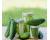 Cucumber Goblin 10 seeds