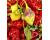 Chilli Scarlet Lantern 10 seeds