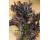 Mustard Scarlet Frills 500 seeds