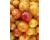 Tomato Artisan Golden BumbleBee 10 seeds