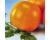 Tomato Golden Shine 10 seeds