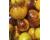 Tomato Ussuri Tiger 10 seeds