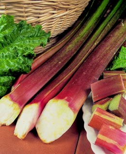 Rhubarb Victoria 75 seeds