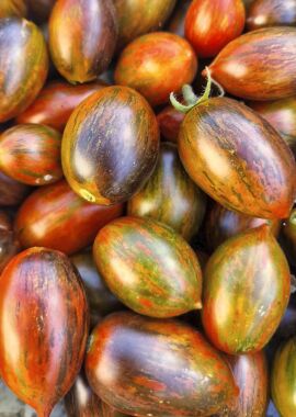 Tomato Brads Atomic Grape 10 seeds