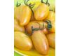 Tomato Artisan Blush Tiger 10 seeds