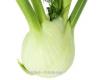Fennel Zefa Fino 250 seeds
