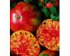 Tomato Hillbilly Disease Resistant 10 seeds