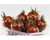 Tomato Brown Berry 20 seeds
