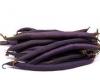 Dwarf French Bean Purple Queen 50g av 200 seeds