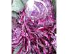 Cabbage Rococo 30 seeds