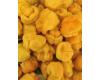 Chilli 7 Pot Brain Strain YELLOW 10 seeds
