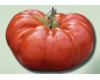 Tomato Watermelom Beefsteak 10 seeds