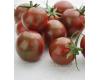 Tomato Artisan Purple Bumble Bee 10 seeds